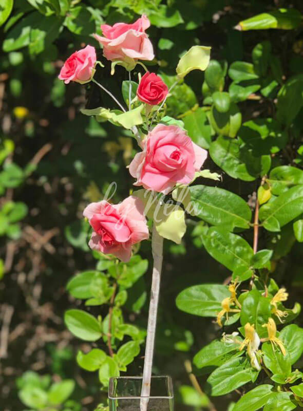Bouquet de rosas a modo de rosal